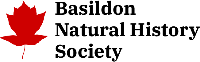 Logo for Basildon Natural History Society