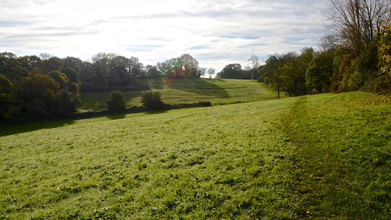 Basildon Council SSSI Status for Langdon Ridge Basildon