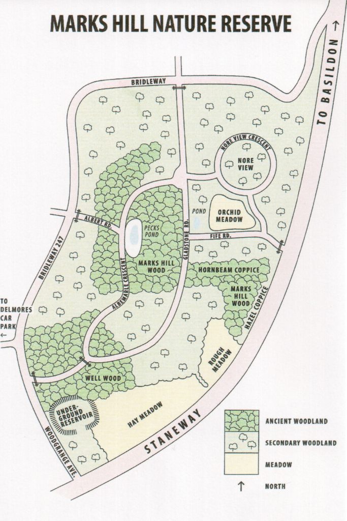 Basildon Natural History Society - Conserving Basildon's Wildlife